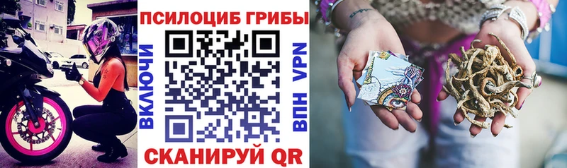 Псилоцибиновые грибы Magic Shrooms Ангарск